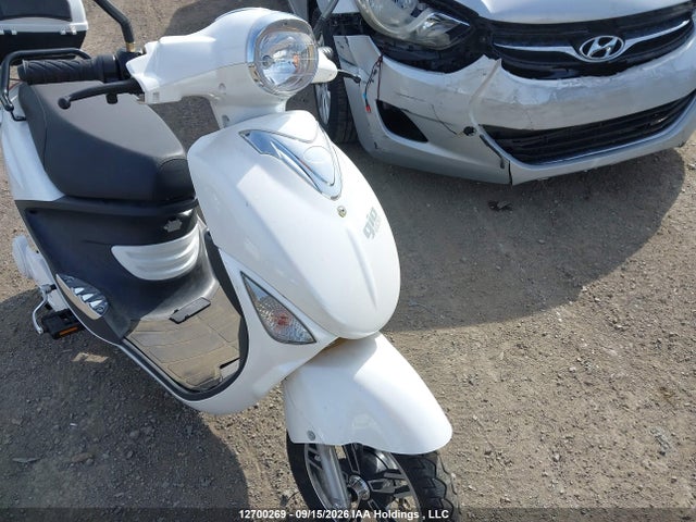 Scooter Beluga Geo Electrique 2025 192821902183656 Image 6