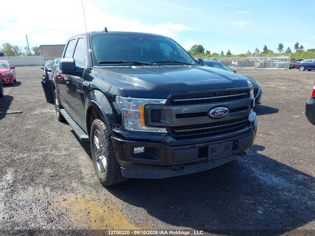 Продаж на аукціоні авто 2019 Ford F-150, vin: 1FTEW1EP4KFA99101, номер лоту: 12700320