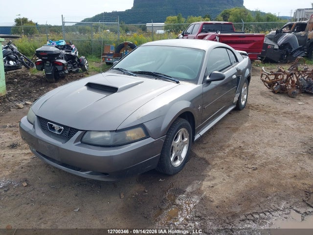2003 Ford Mustang მანქანა იყიდება აუქციონზე, vin: 1FAFP40463F412768, აუქციონის ნომერი: 12700346