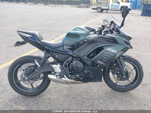 Kawasaki Ex650 P 2025 ML5EXEP18SDAF8620 Image 17