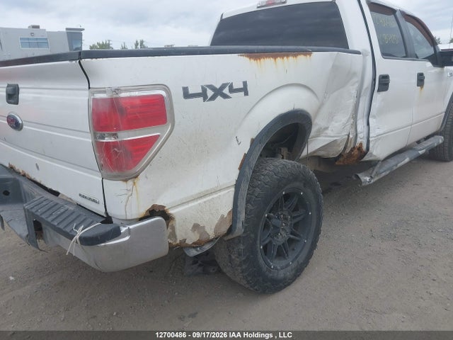 12700486 :رقم المزاد ، 1FTFW1EF0EFB71251 vin ، 2014 Ford F150 Supercrew مزاد بيع