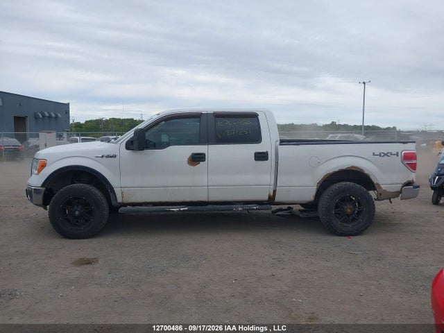 12700486 :رقم المزاد ، 1FTFW1EF0EFB71251 vin ، 2014 Ford F150 Supercrew مزاد بيع