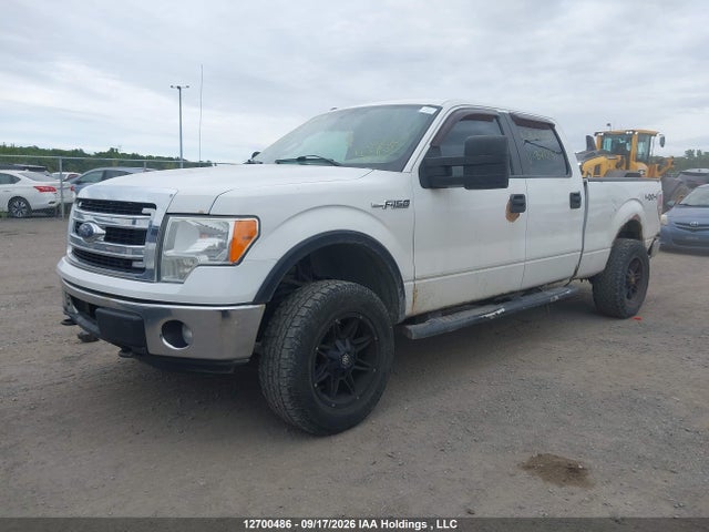 12700486 :رقم المزاد ، 1FTFW1EF0EFB71251 vin ، 2014 Ford F150 Supercrew مزاد بيع