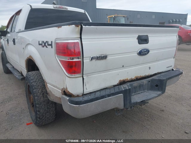 12700486 :رقم المزاد ، 1FTFW1EF0EFB71251 vin ، 2014 Ford F150 Supercrew مزاد بيع