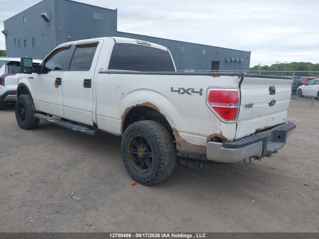12700486 :رقم المزاد ، 1FTFW1EF0EFB71251 vin ، 2014 Ford F150 Supercrew مزاد بيع