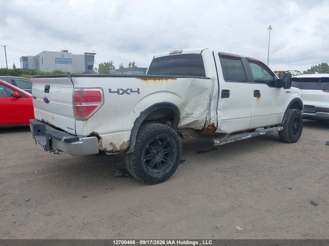 12700486 :رقم المزاد ، 1FTFW1EF0EFB71251 vin ، 2014 Ford F150 Supercrew مزاد بيع