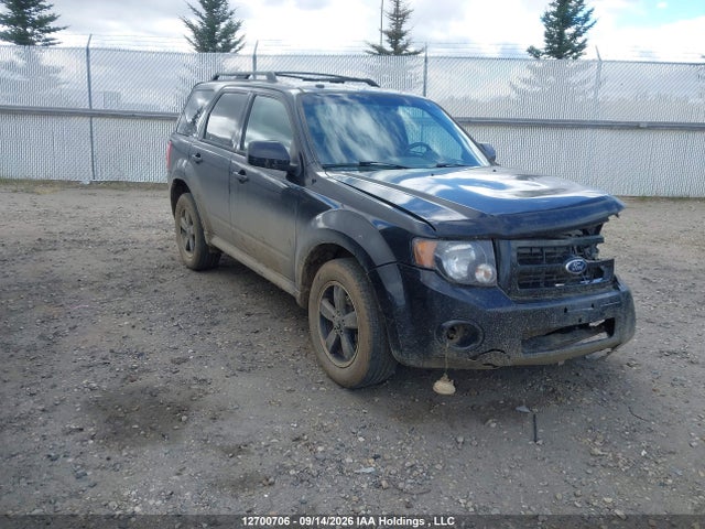 Продажа на аукционе авто 2011 Ford Escape Xlt, vin: 1FMCU9DGXBKB00316, номер лота: 12700706