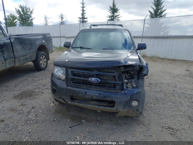 Продаж на аукціоні авто 2011 Ford Escape Xlt, vin: 1FMCU9DGXBKB00316, номер лоту: 12700706