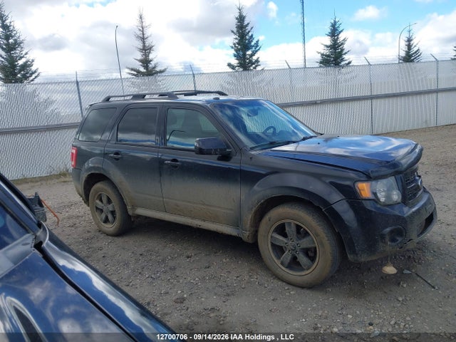 Продаж на аукціоні авто 2011 Ford Escape Xlt, vin: 1FMCU9DGXBKB00316, номер лоту: 12700706