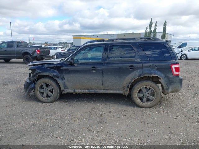 Продаж на аукціоні авто 2011 Ford Escape Xlt, vin: 1FMCU9DGXBKB00316, номер лоту: 12700706