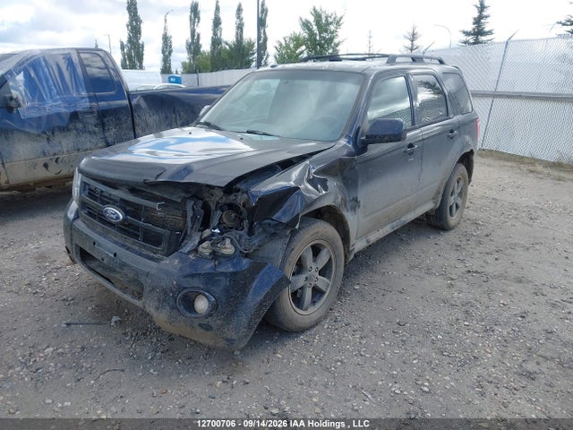Продаж на аукціоні авто 2011 Ford Escape Xlt, vin: 1FMCU9DGXBKB00316, номер лоту: 12700706