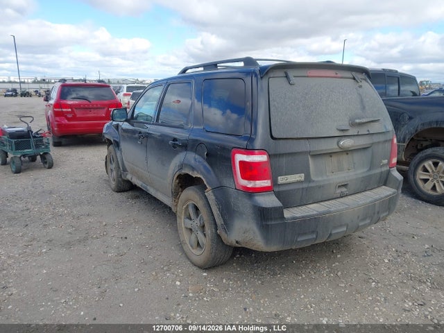 Продаж на аукціоні авто 2011 Ford Escape Xlt, vin: 1FMCU9DGXBKB00316, номер лоту: 12700706