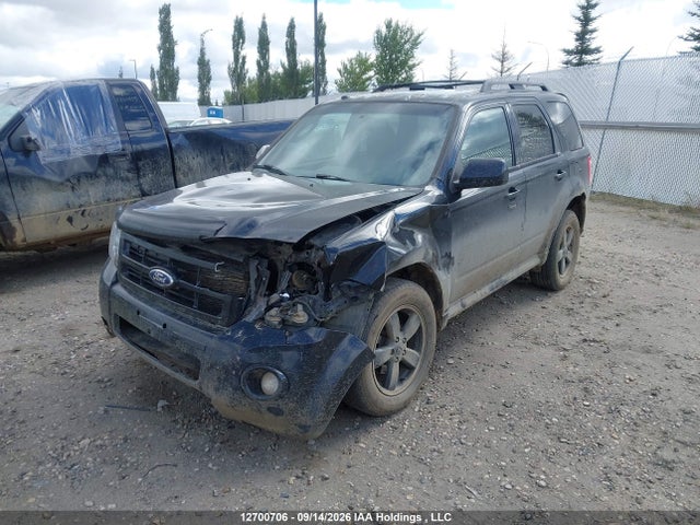 Продаж на аукціоні авто 2011 Ford Escape Xlt, vin: 1FMCU9DGXBKB00316, номер лоту: 12700706