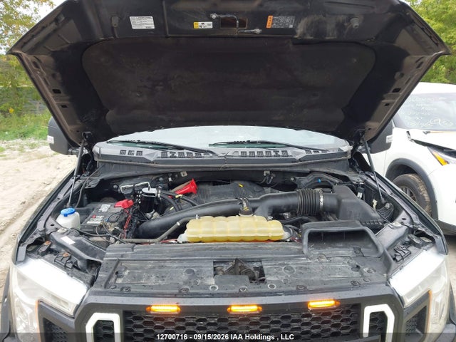 1FTEW1EG1JFD00855 Ford F-150 Xlt