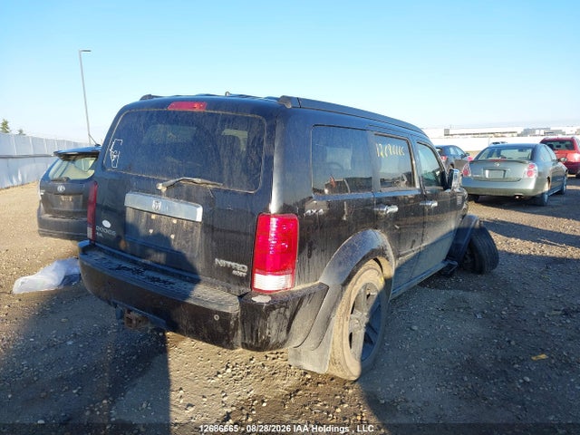 Aukcja sprzedaży 2010 Dodge Nitro Sxt, vin: 1D4PU5GX9AW146076, numer aukcji: 12686665