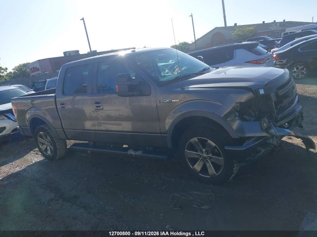 Ford F150 Supercrew 2014 1FTFW1EF2EFC10308 Image 13
