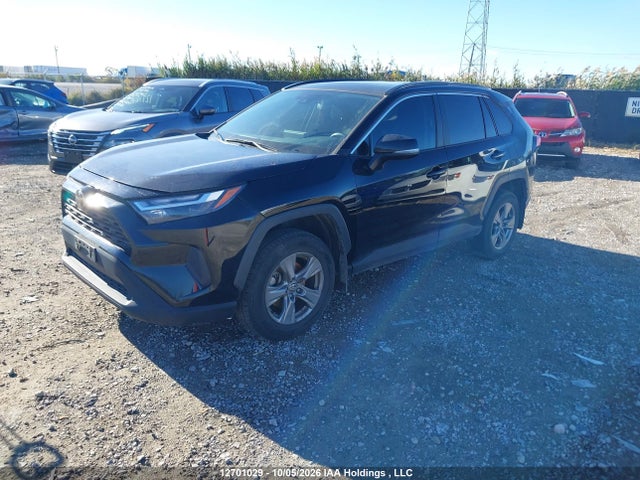 Toyota Rav4 Xle 2024 2T3R1RFV9RC453183 Image 2