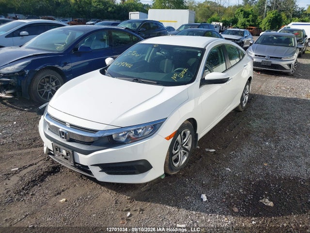 2HGFC2F51HH039365 Honda Civic Lx