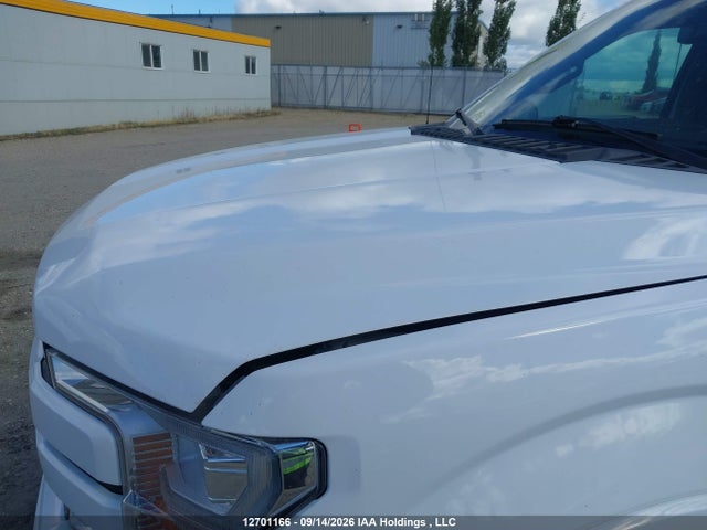 1FTEW1E47LKE31045 Ford F150 Supercrew