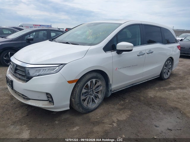 Honda ODYSSEY EXL 2024 5FNRL6H63RB500341 Image 2