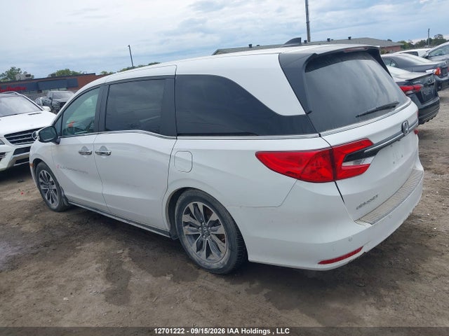 Honda ODYSSEY EXL 2024 5FNRL6H63RB500341 Image 3