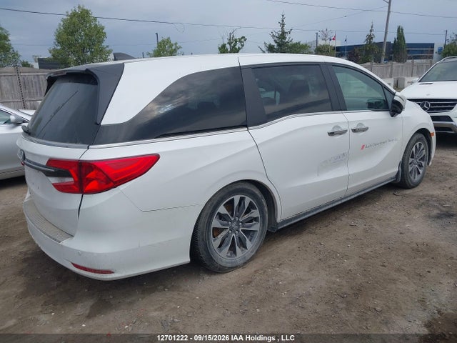 Honda ODYSSEY EXL 2024 5FNRL6H63RB500341 Image 4