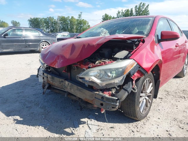 2T1BURHE7FC241280 Toyota Corolla L/le/le Pls/prm/s/s Pls
