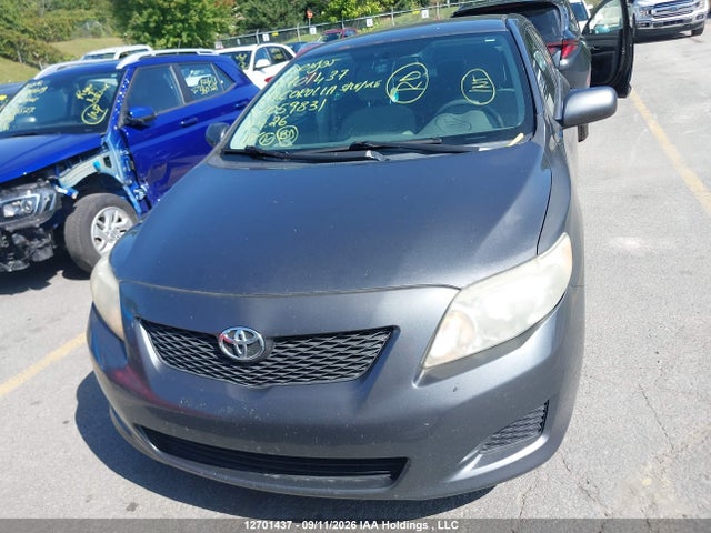 Продажа на аукционе авто 2009 Toyota Corolla S/le/xle, vin: 2T1BU40E29C059831, номер лота: 12701437