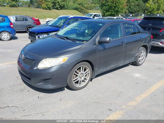 Продажа на аукционе авто 2009 Toyota Corolla S/le/xle, vin: 2T1BU40E29C059831, номер лота: 12701437