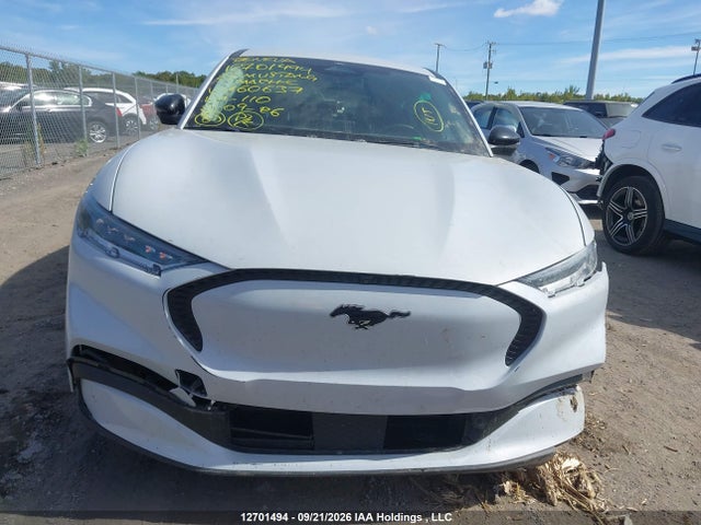 Продажа на аукционе авто 2023 Ford Mustang Mach-e Select, vin: 3FMTK1R47PMA60637, номер лота: 12701494