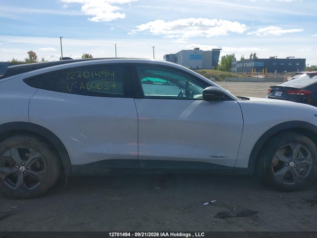 Продажа на аукционе авто 2023 Ford Mustang Mach-e Select, vin: 3FMTK1R47PMA60637, номер лота: 12701494