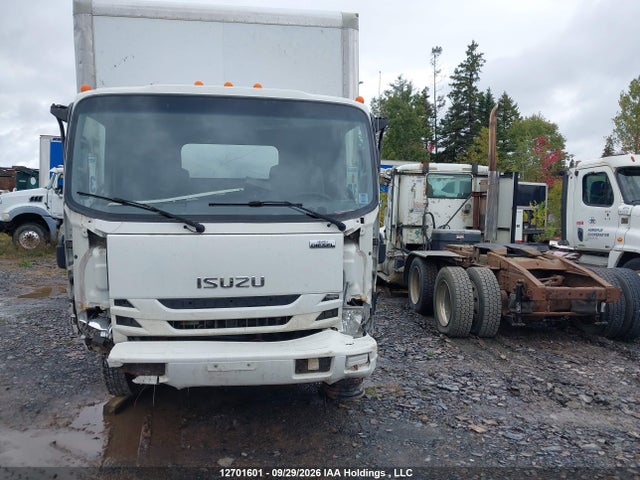 12701601 :رقم المزاد ، JALE5W16XK7305009 vin ، 2019 Isuzu Nrr مزاد بيع