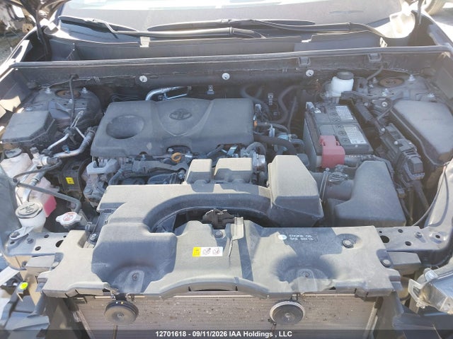 Toyota RAV4 LE 2024 2T3B1RFV5RC470998 Image 10