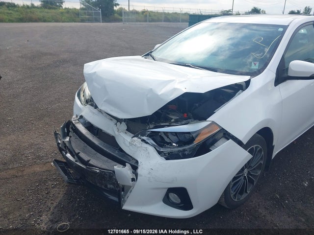 2T1BURHE4GC712674 Toyota Corolla L/le/le Pls/prm/s/s Pls
