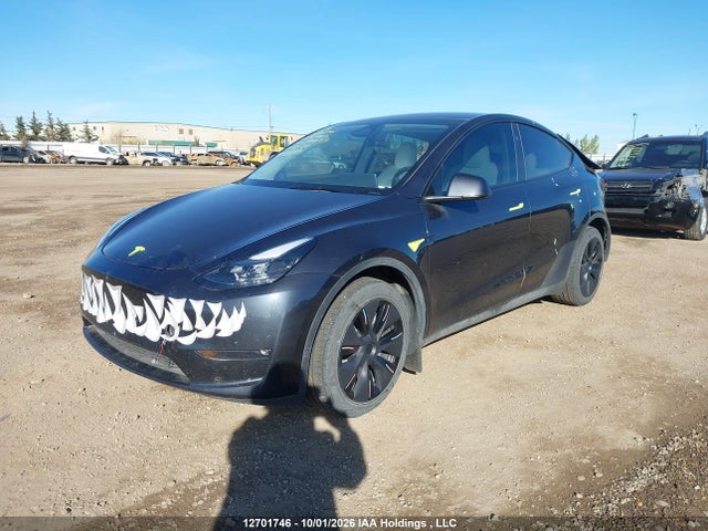 Tesla Model Y 2025 7SAYGDEEXSF293455 Image 2