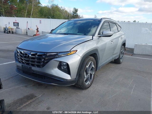 Hyundai Tucson Luxury 2023 KM8JCCA16PU132165 Image 2
