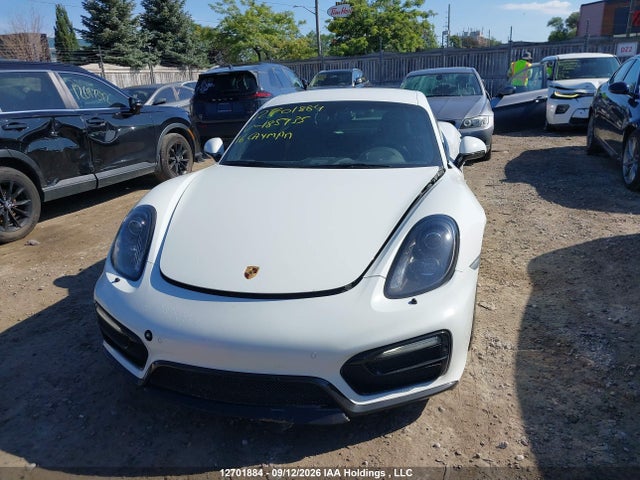 Porsche Cayman Gts/s 2016 WP0AB2A85GK185935 Image 12