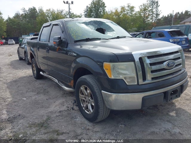 Продаж на аукціоні авто 2010 Ford F-150 Xlt, vin: 1FTEW1E84AFD13852, номер лоту: 12701992
