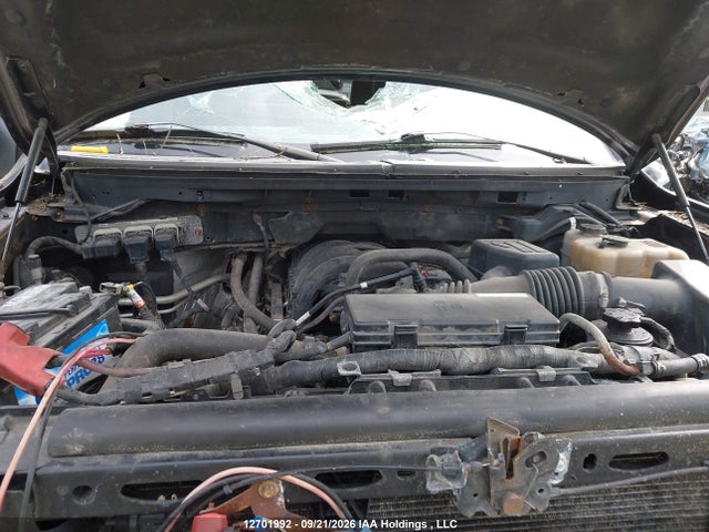 12701992 :رقم المزاد ، 1FTEW1E84AFD13852 vin ، 2010 Ford F-150 Xlt مزاد بيع