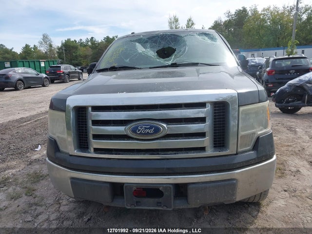 12701992 :رقم المزاد ، 1FTEW1E84AFD13852 vin ، 2010 Ford F-150 Xlt مزاد بيع