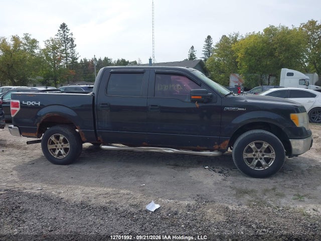 12701992 :رقم المزاد ، 1FTEW1E84AFD13852 vin ، 2010 Ford F-150 Xlt مزاد بيع