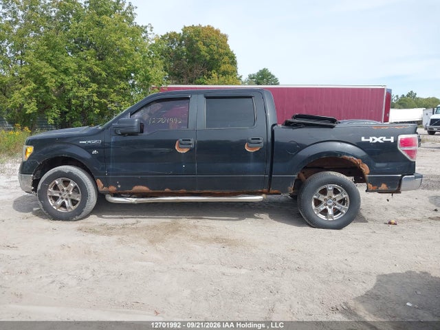 12701992 :رقم المزاد ، 1FTEW1E84AFD13852 vin ، 2010 Ford F-150 Xlt مزاد بيع