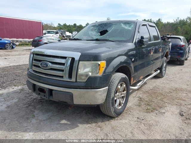 12701992 :رقم المزاد ، 1FTEW1E84AFD13852 vin ، 2010 Ford F-150 Xlt مزاد بيع