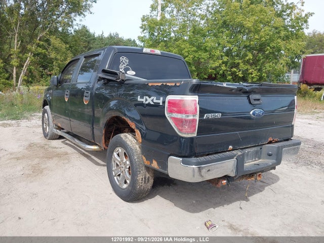 12701992 :رقم المزاد ، 1FTEW1E84AFD13852 vin ، 2010 Ford F-150 Xlt مزاد بيع