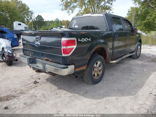 12701992 :رقم المزاد ، 1FTEW1E84AFD13852 vin ، 2010 Ford F-150 Xlt مزاد بيع