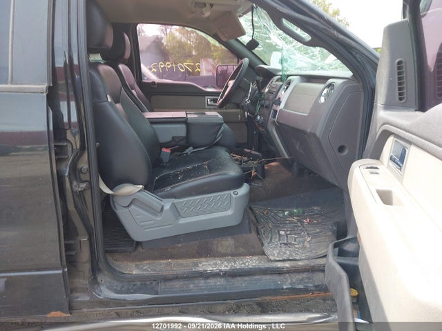 12701992 :رقم المزاد ، 1FTEW1E84AFD13852 vin ، 2010 Ford F-150 Xlt مزاد بيع