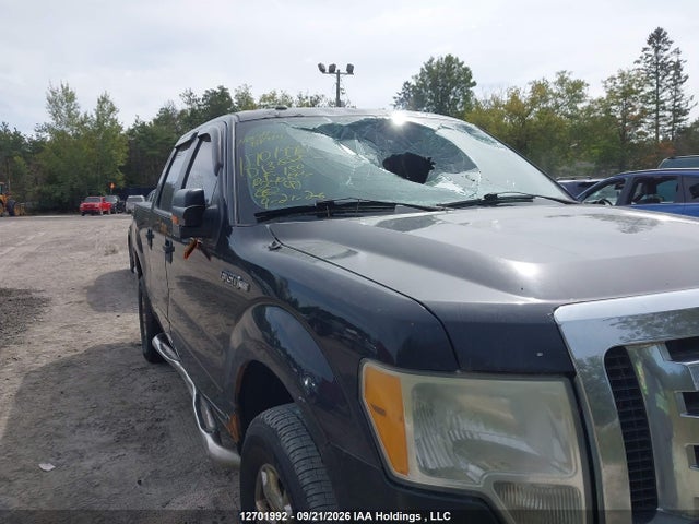 12701992 :رقم المزاد ، 1FTEW1E84AFD13852 vin ، 2010 Ford F-150 Xlt مزاد بيع