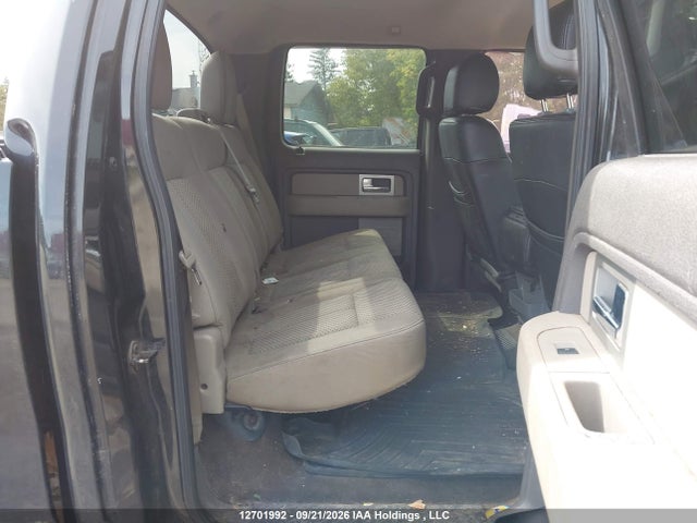 12701992 :رقم المزاد ، 1FTEW1E84AFD13852 vin ، 2010 Ford F-150 Xlt مزاد بيع