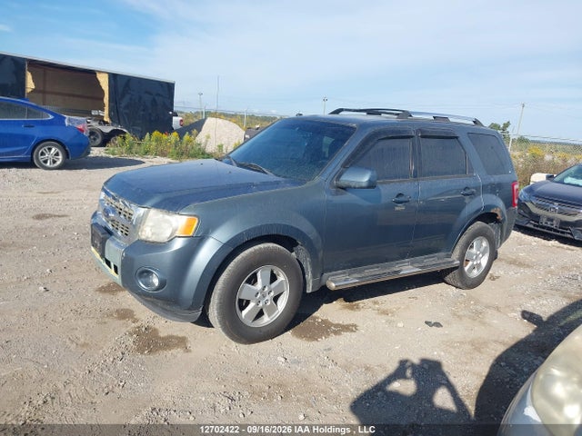 Продаж на аукціоні авто 2011 Ford Escape, vin: 1FMCU9EG8BKC66249, номер лоту: 12702422