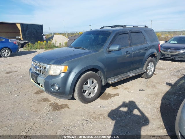 Продаж на аукціоні авто 2011 Ford Escape, vin: 1FMCU9EG8BKC66249, номер лоту: 12702422